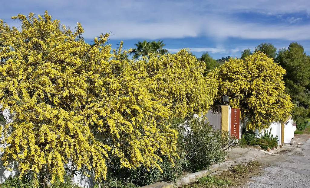 Barros De Luna Guest House Coin Spain