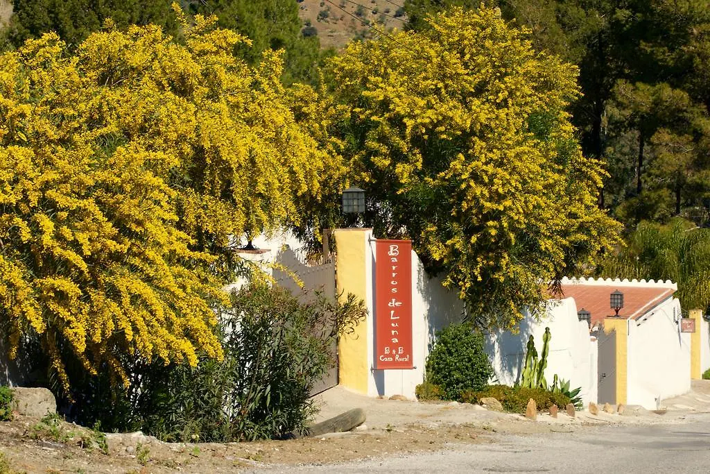 Barros De Luna Guest House Coin 0*,