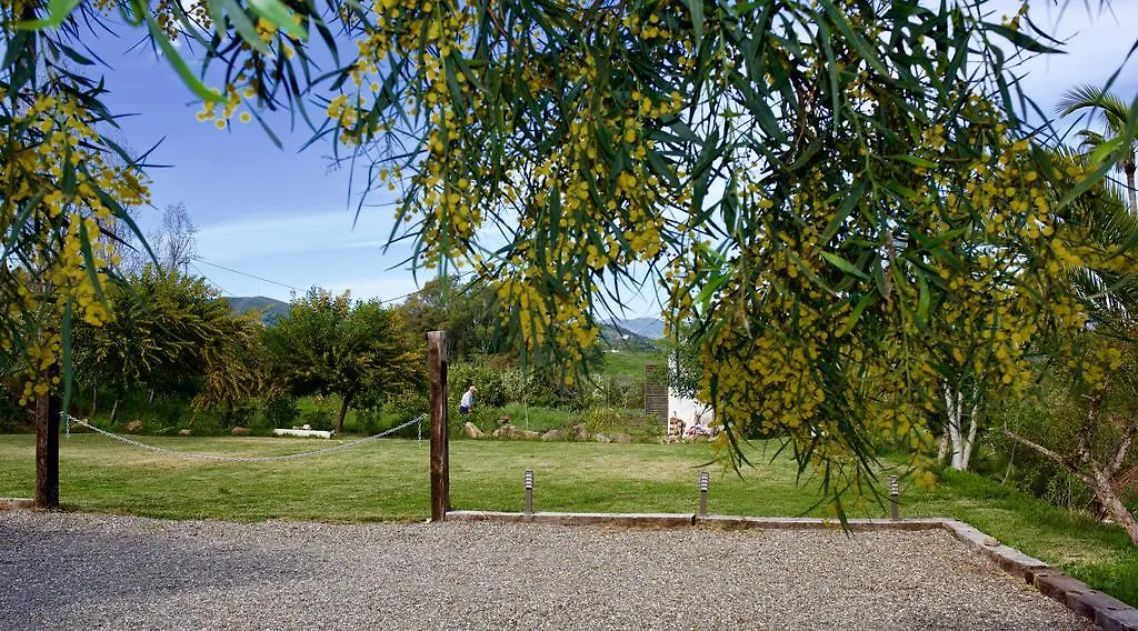 Barros De Luna Guest House Coin