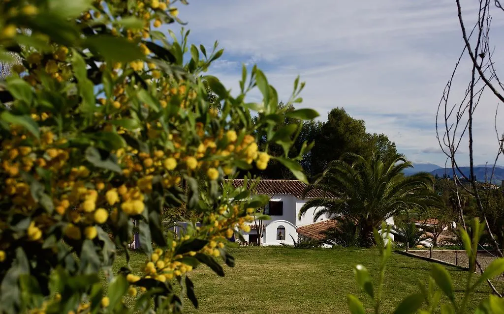 Barros De Luna Guest House Coin