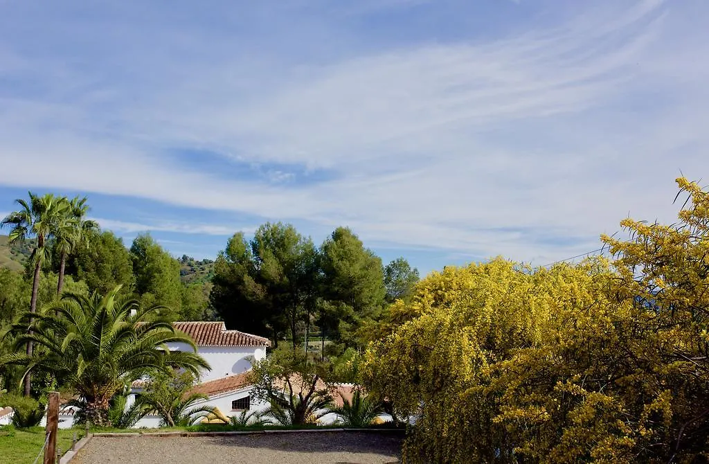 Barros De Luna Guest House Coin 0*,